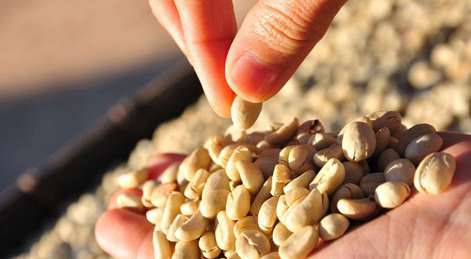 What Makes Kona Coffee So Special?